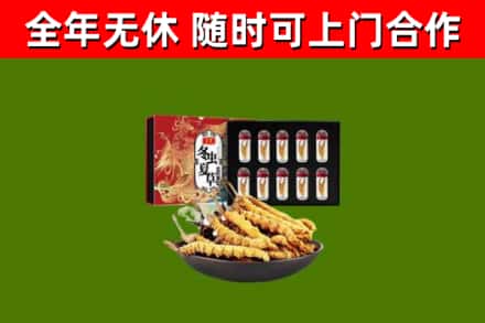 临西回收冬虫夏草价格