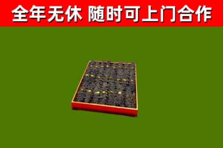 临西回收海参